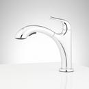 Signature Hardware Chrome Single Handle Swivel Kitchen Faucet 