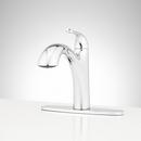 Signature Hardware Chrome Single Handle Swivel Kitchen Faucet 