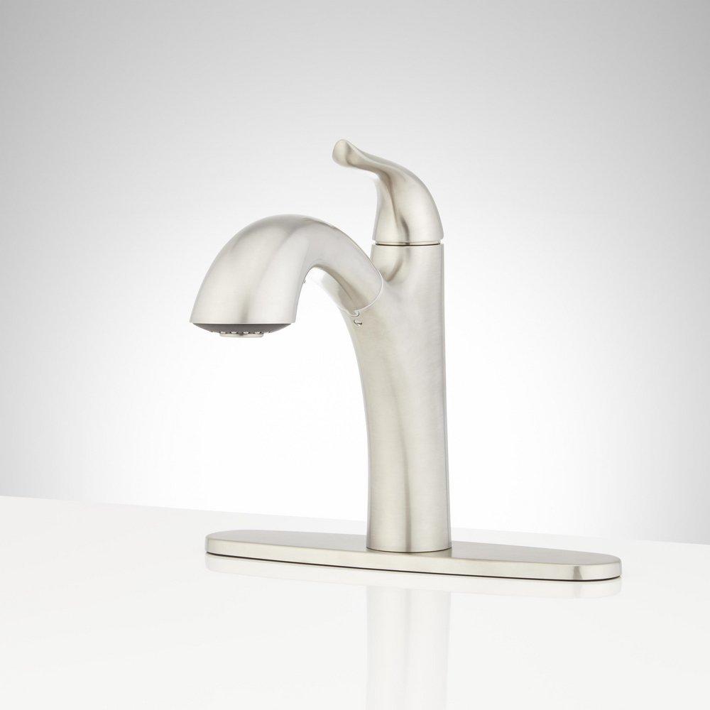 Signature Hardware Stainless Steel Single Handle Swivel Kitchen Faucet 