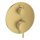ATRIO DUAL FUNCTION THERMOSTATIC SHOWER VALVE TRIM 