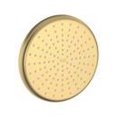 Single Function Showerhead in Brushed Cool Sunrise
