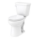 Elongated Floor Mount Toilet Bowl in White