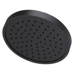 Single Function Showerhead in Brushed Gold
