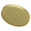 Single Function Showerhead in Brushed Nickel