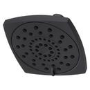 Pfister Matte Black Multi Function Showerhead 
