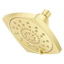 Multi Function Showerhead in Brushed Gold 