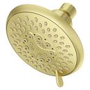 Multi Function Showerhead in Brushed Gold 