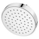 Single Function Showerhead in Polished Chrome