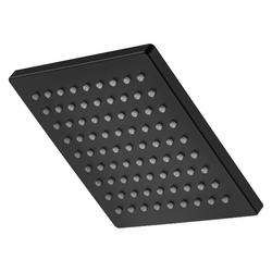 Single Function Showerhead in Brushed Nickel