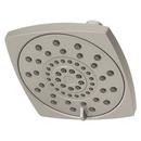 Multi Function Showerhead in Brushed Nickel 