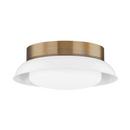 2 LIGHT FLUSH MOUNT 