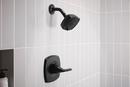 SINGLE HANDLE PULLDOWN KITCHEN FAUC 