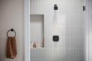 Peerless&reg; Matte Black Single Handle Multi Function Shower Faucet (Trim Only) 