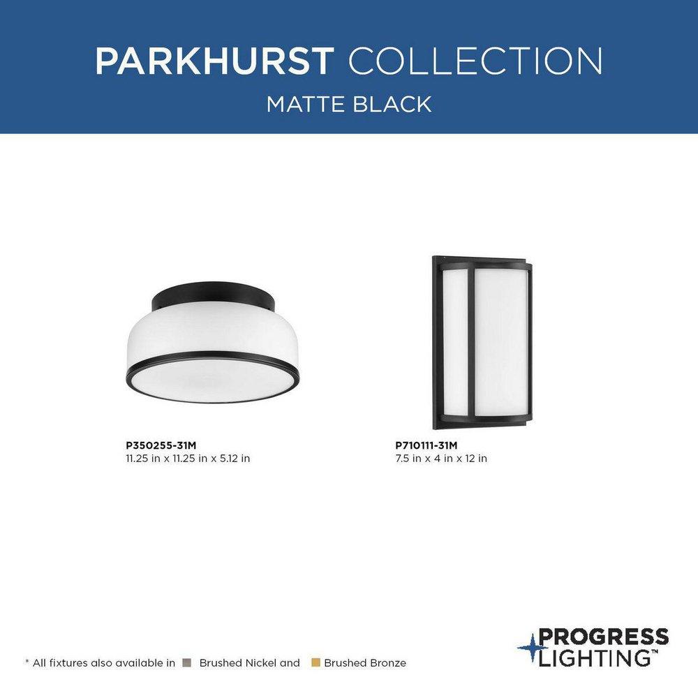 Progress Lighting Matte Black 5-1/8 x 11-1/4 in. 15W 2-Light Integrated LED Flush Mount Ceiling Fixture 