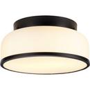 Progress Lighting Matte Black 5-1/8 x 11-1/4 in. 15W 2-Light Integrated LED Flush Mount Ceiling Fixture 