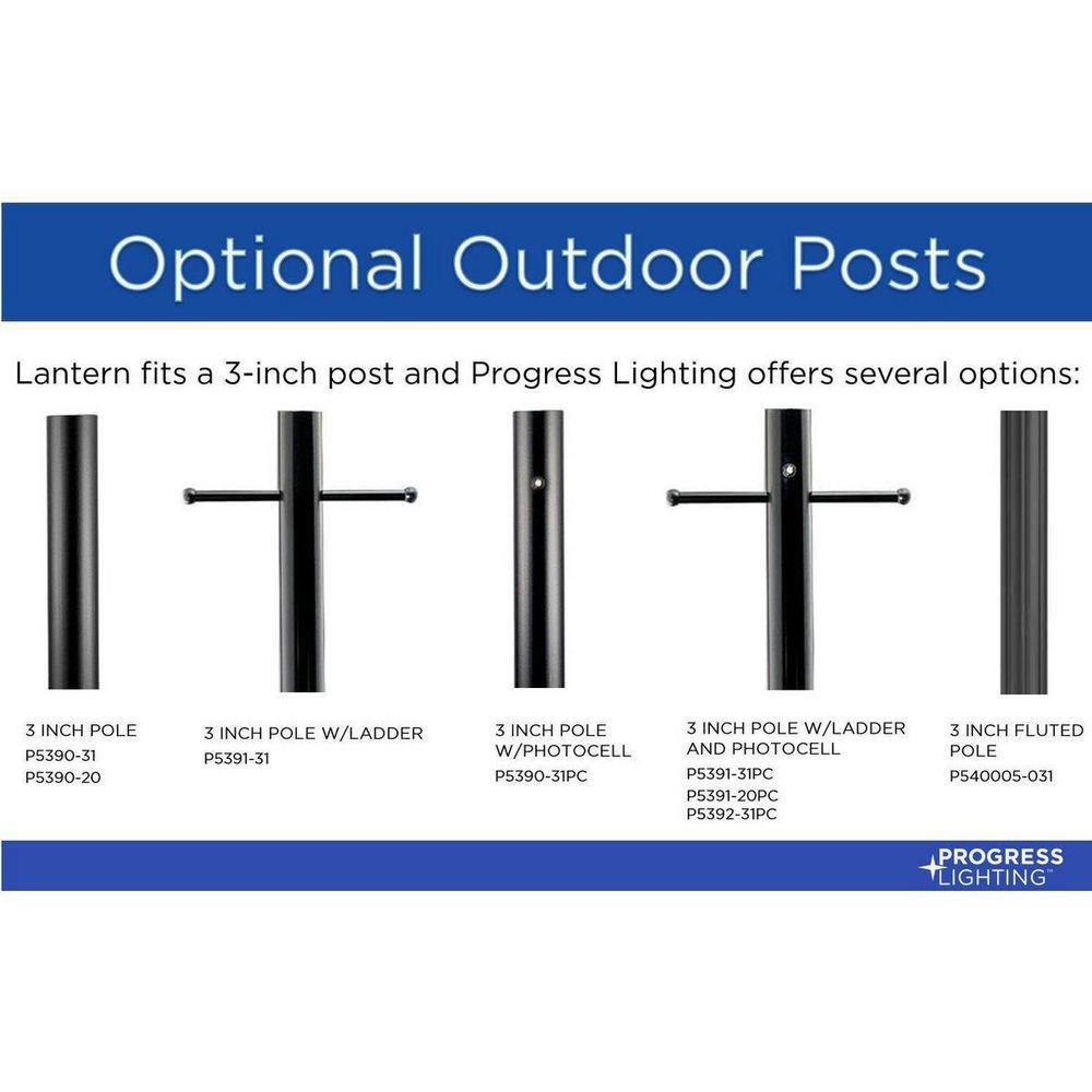 1-Light Wall Sconce in Black 