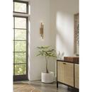 4-Light 4in. Tall Wall Sconce in Brushed Gold 