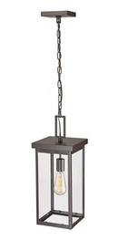 Millennium Lighting Powder Coated Bronze 1-Light Outdoor Hanging Lantern 