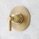 Single Handle Pressure Balancing Valve Trim in Aged Brass (Trim Only)