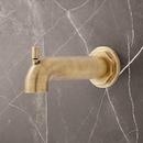 Diverter Tub Spout in Aged Brass