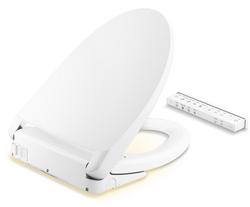 Elongated Closed Front Bidet Seat in White