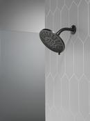 Multi Function Showerhead in Matte Black 