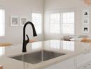 Pfister Matte Black Single Handle Pull Down Kitchen Faucet 