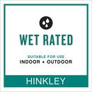 Hinkley Burnished Bronze 100W 1-Light 16-1/2 in. Outdoor Wall Sconce 