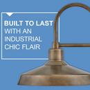 Hinkley Burnished Bronze 100W 1-Light 16-1/2 in. Outdoor Wall Sconce 