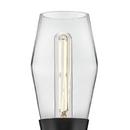 20W LED 2?Light 22in. Wall Sconce in Black with Lacquered Brass & Clear Glass 