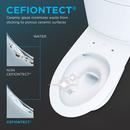 1.28 gpf Elongated One Piece Toilet with Washlet Seat  in Cotton White 