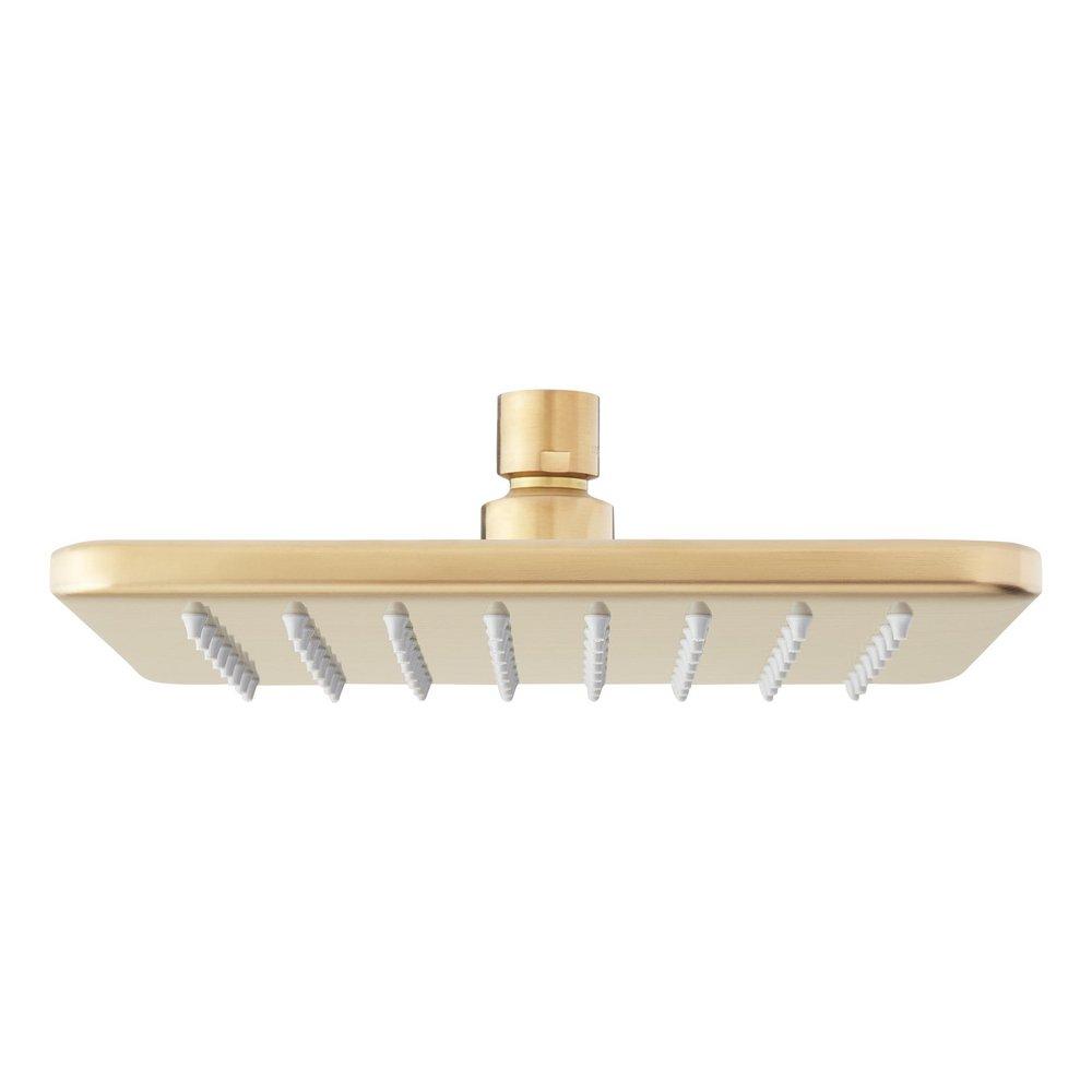 Signature Hardware Brushed Gold Showerhead 