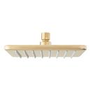 Signature Hardware Brushed Gold Showerhead 