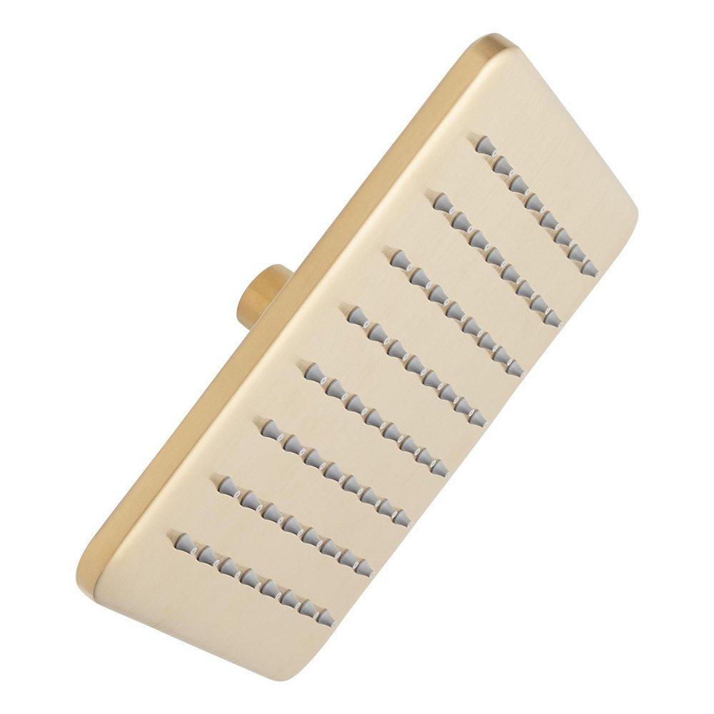 Signature Hardware Brushed Gold Showerhead 