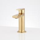 Single Handle Monoblock Bathroom Sink Faucet in Brushed Gold