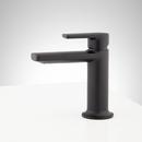 Signature Hardware Matte Black Single Handle Monoblock Bathroom Sink Faucet 