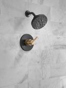 Delta Faucet Matte Black Single Handle Multi Function Shower Faucet (Trim Only) 