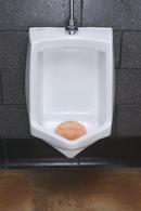 Fresh Products Orange Urinal Screen (Case of 6 Boxes) 