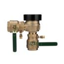 LFNA 2 A/SIPHON VB W/ QT SHUTOFF LEVER HANDLE FREEZE SENSOR