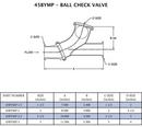 3 in. 316 Stainless Steel Tri-Clamp PTFE Ball Check Valve 