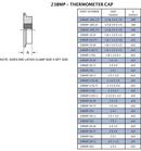 Sanitary 1 - 1-1/2 x 1/4 in. 304 Stainless Steel Tri-Clamp x FPT Thermometer Cap 