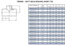 Steel & O&rsquo;Brien Global Reducing 304 Stainless Steel Butt Tee 