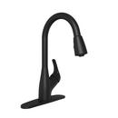 PROFLO&reg; Matte Black Single Handle Pull Down Kitchen Faucet 