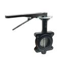 2 in. IMP DI FULL LUG BFV W/LEV HDL 