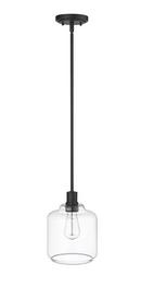 1-Light Mini-Pendant Light in Matte Black 