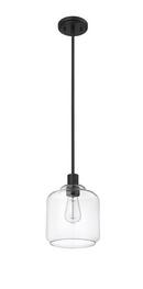 1-Light Mini-Pendant Light in Matte Black 