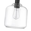1-Light Mini-Pendant Light in Matte Black 