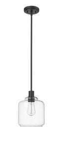 1-Light Mini-Pendant Light in Matte Black 
