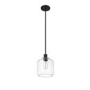 1-Light Mini-Pendant Light in Matte Black 