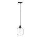 1-Light Mini-Pendant Light in Matte Black 